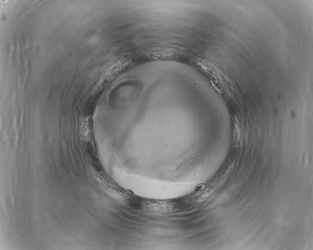 X0000086940383200705071424