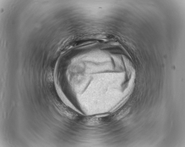 X0000086940384200705071424