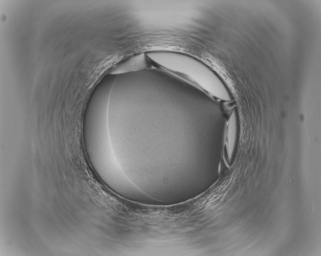 X0000086940385200705071423