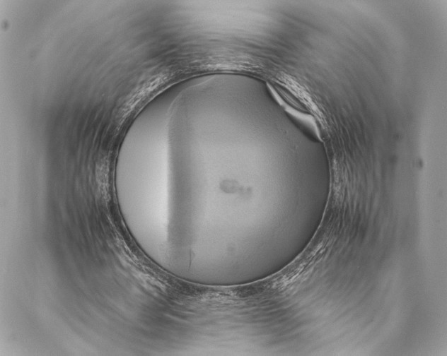 X0000086940386200705071423