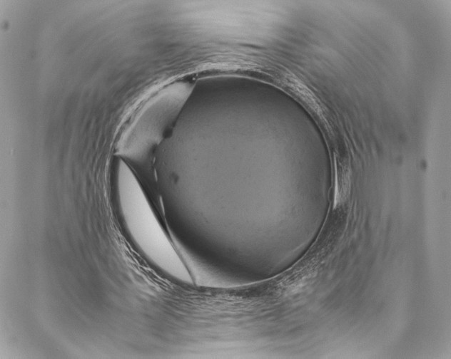 X0000086940387200705071423