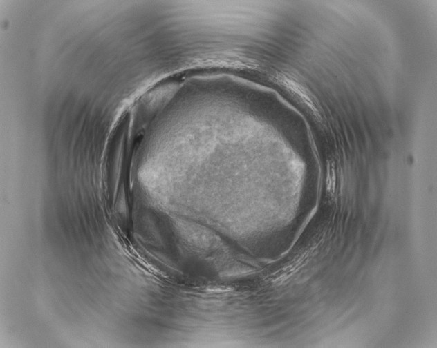 X0000086940388200705071423