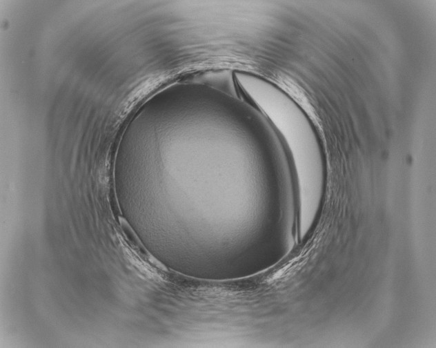 X0000086940389200705071423