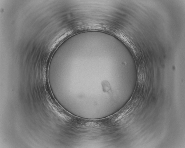 X0000086940390200705071423