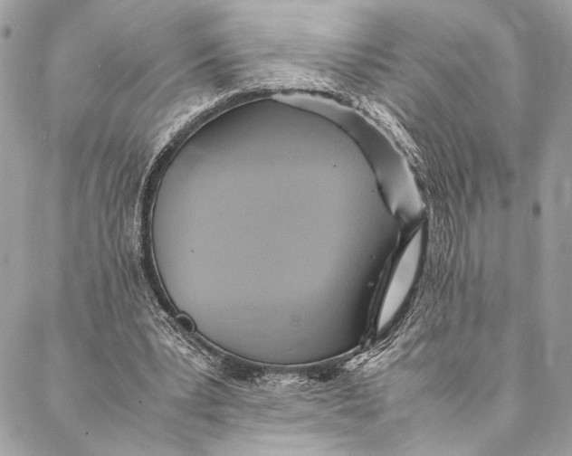 X0000086940391200705071423