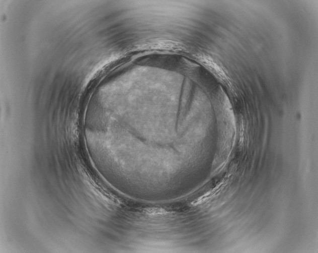 X0000086940392200705071423