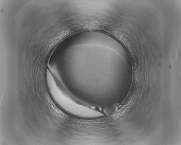 X0000086940393200705071423