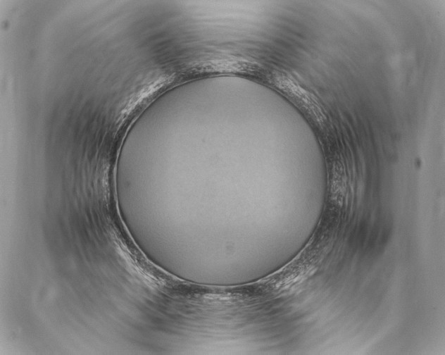 X0000086940394200705071423