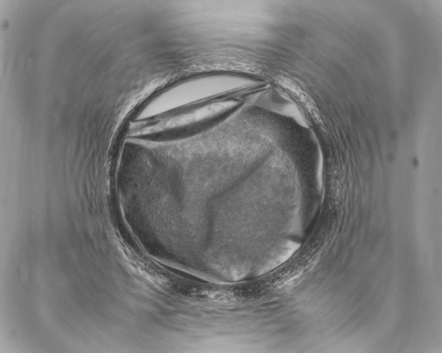 X0000086940395200705071423