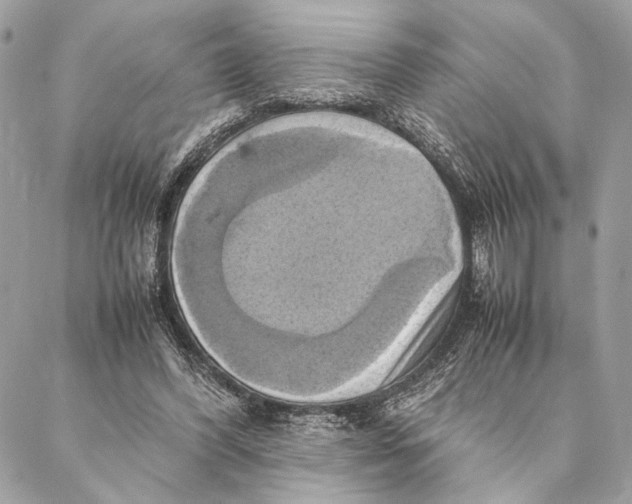 X0000086940396200705071423