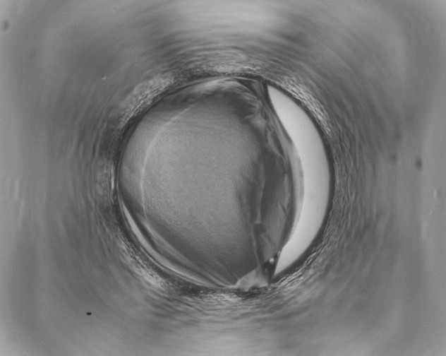 X0000086940397200705071423