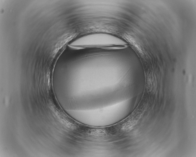 X0000086940398200705071423