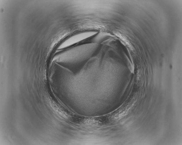 X0000086940399200705071423