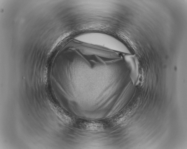 X0000086940400200705071423