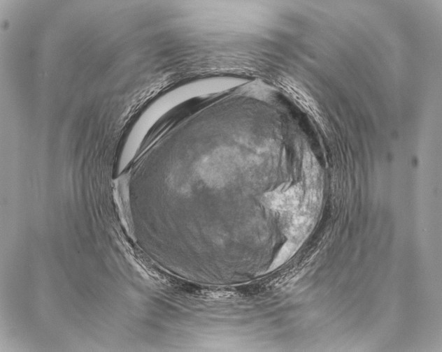 X0000086940401200705071423