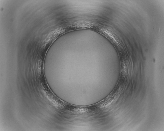 X0000086940402200705071423