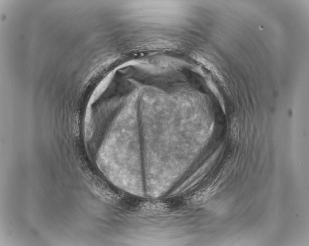 X0000086940403200705071423