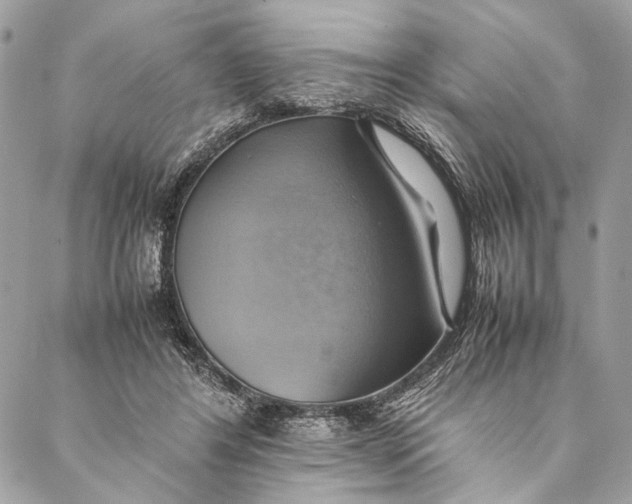 X0000086940404200705071423