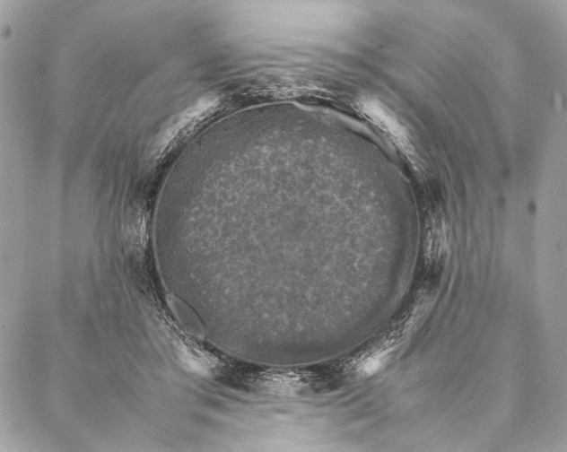 X0000086940405200705071423