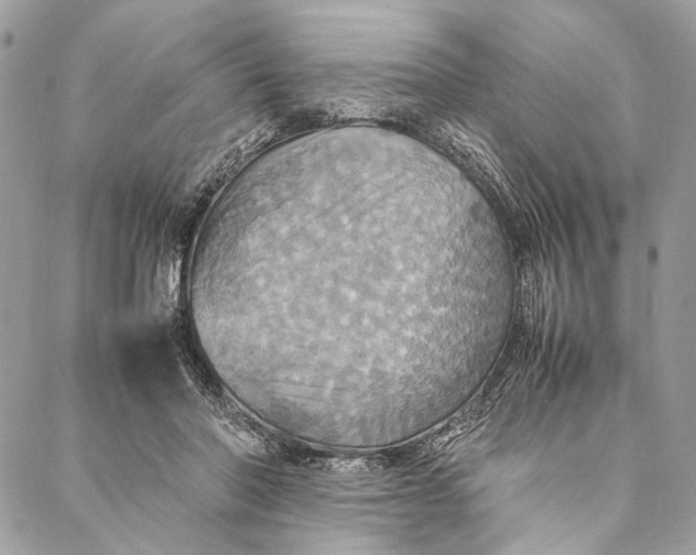 X0000086940406200705071423