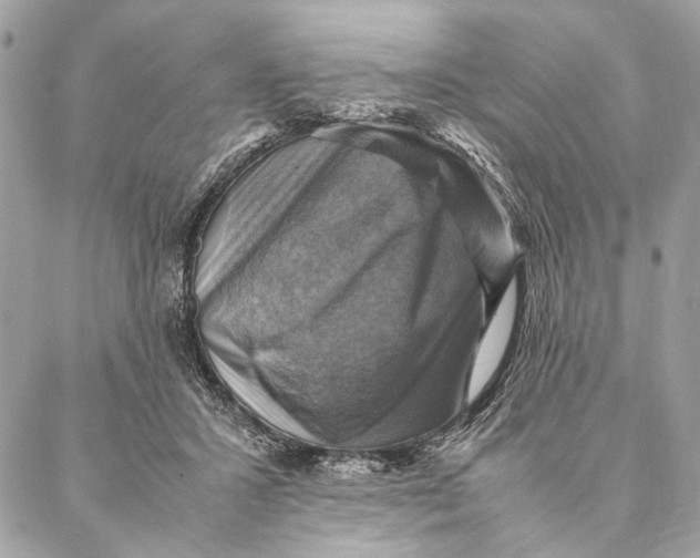 X0000086940407200705071423