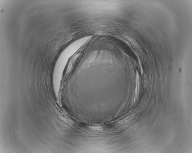 X0000086940409200705071423