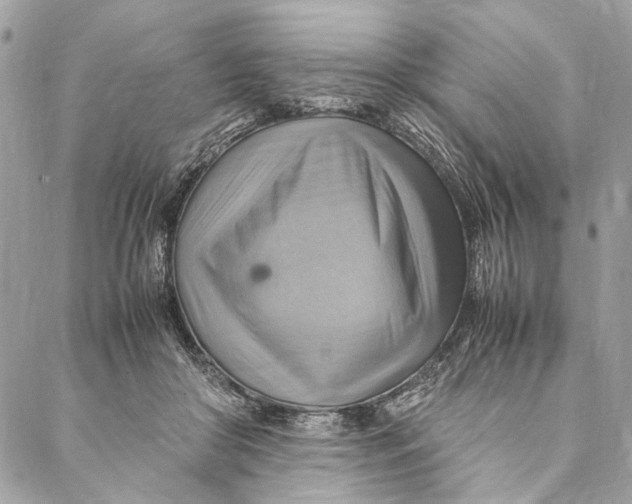 X0000086940410200705071423