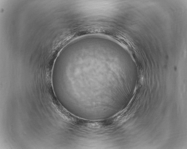 X0000086940411200705071423