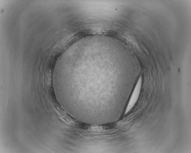 X0000086940413200705071423