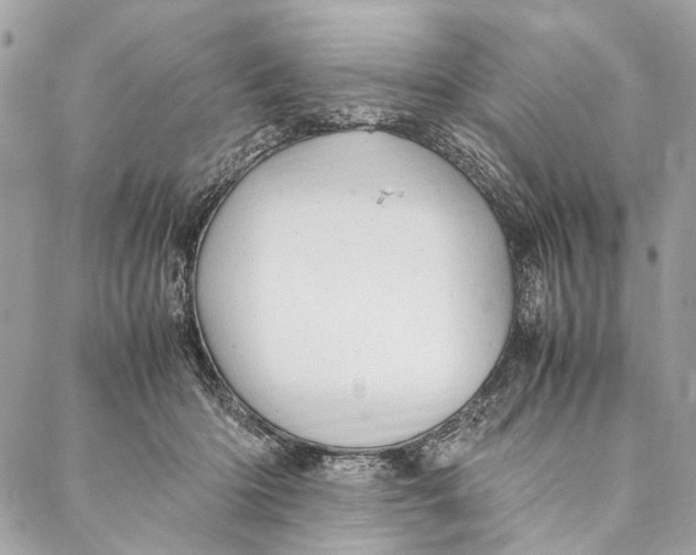 X0000086940414200705071423