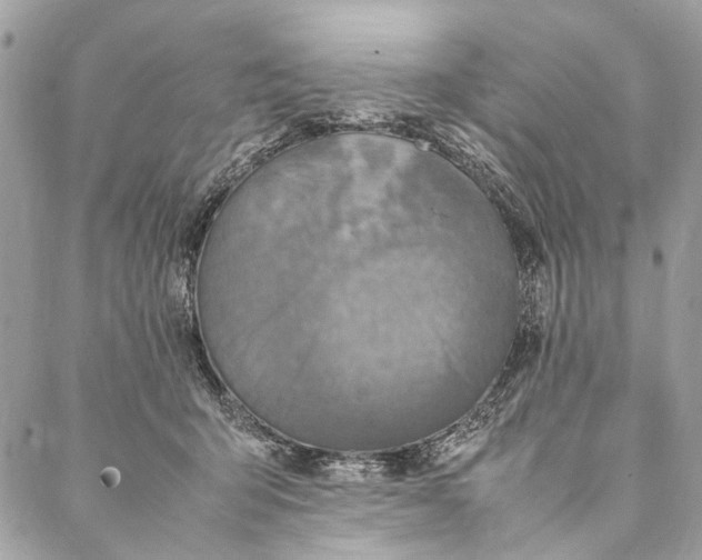 X0000086940415200705071423