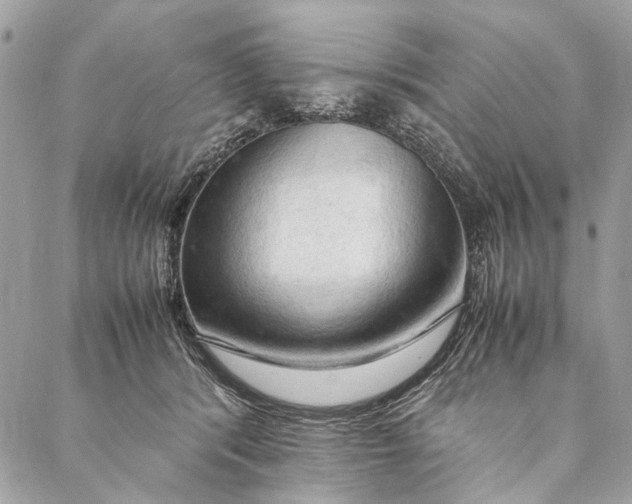 X0000086940416200705071423