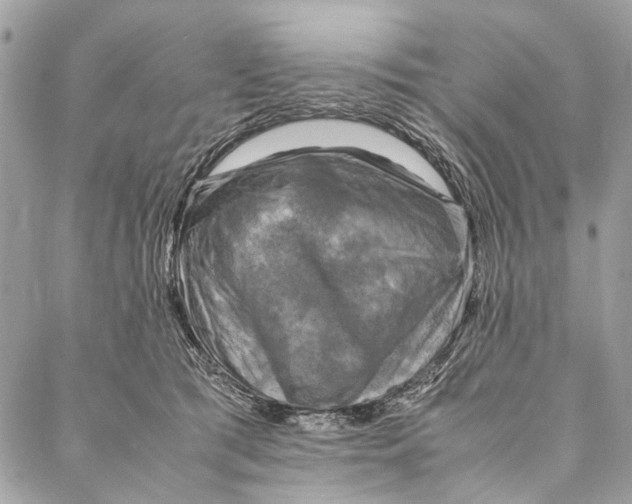 X0000086940417200705071423