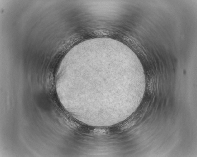 X0000086940418200705071423