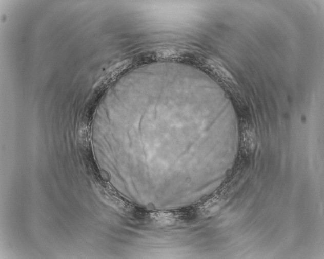 X0000086940419200705071423