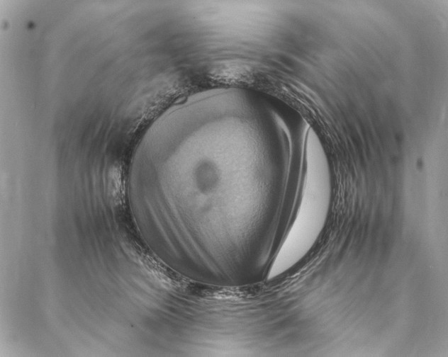 X0000086940420200705071423