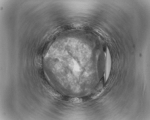 X0000086940421200705071423