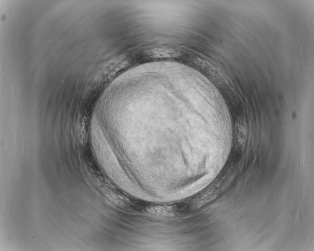 X0000086940422200705071423