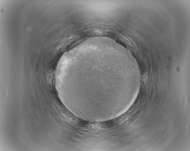 X0000086940423200705071423