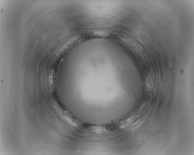 X0000086940424200705071423