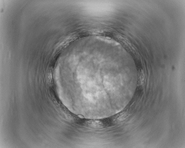 X0000086940427200705071423