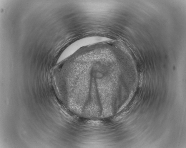 X0000086940428200705071423