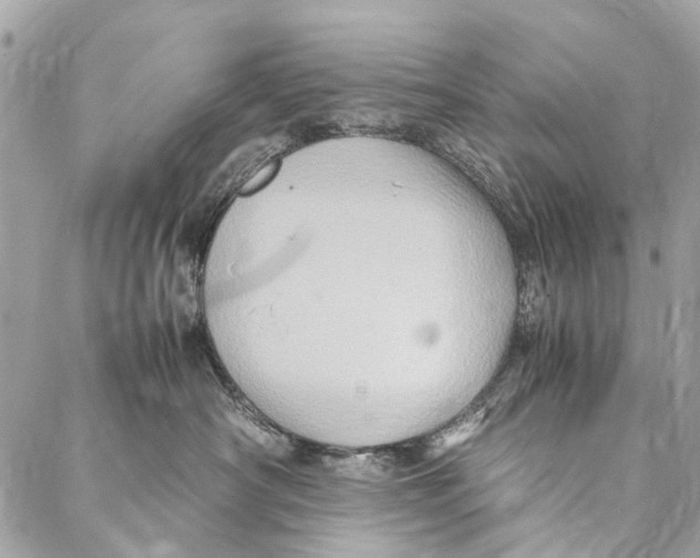 X0000086940430200705071423