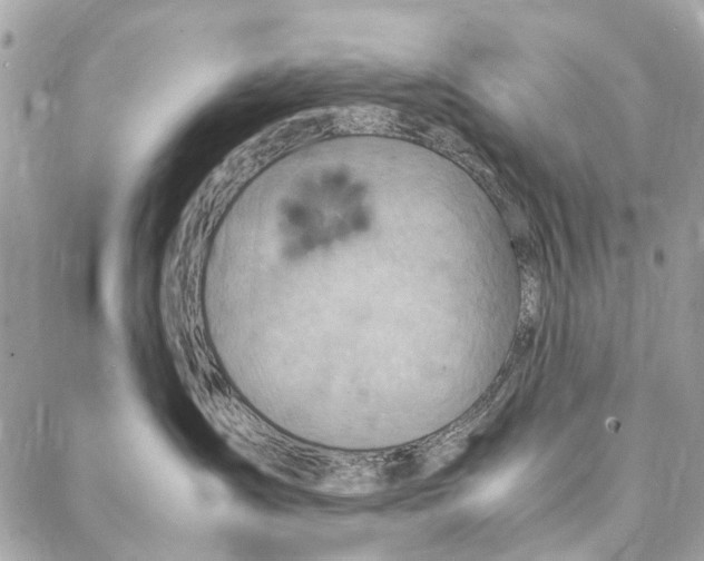 X0000086940431200705071423