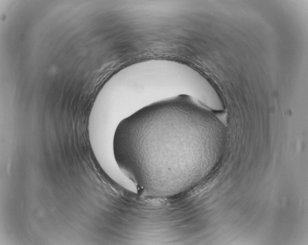 X0000086940432200705071423