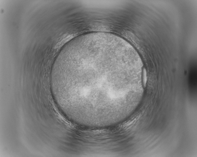 X0000086940433200705071422