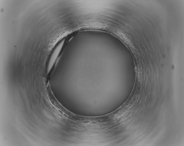 X0000086940434200705071422