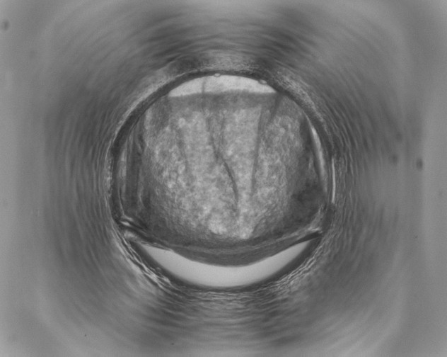 X0000086940435200705071422