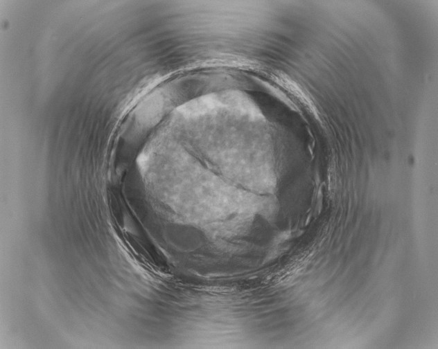 X0000086940436200705071422