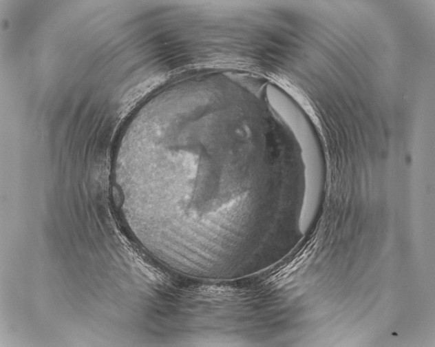 X0000086940437200705071422